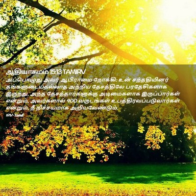 Picture 02 - ஆதியாகமம் 15:13 TAMIRV - அப்பொழுது அவர் - Bible Verse Picture