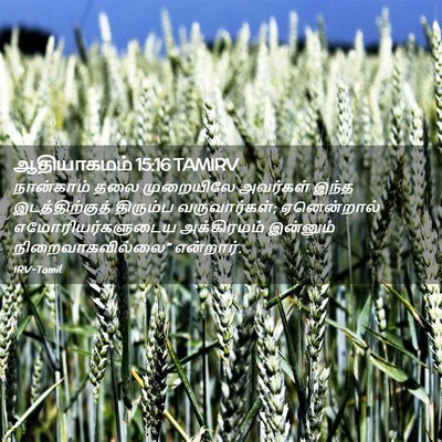 Picture 02 - ஆதியாகமம் 15:16 TAMIRV - நான்காம் தலை - Bible Verse Picture