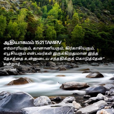 Picture 02 - ஆதியாகமம் 15:21 TAMIRV - எமோரியரும், - Bible Verse Picture