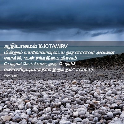 Picture 02 - ஆதியாகமம் 16:10 TAMIRV - பின்னும் - Bible Verse Picture