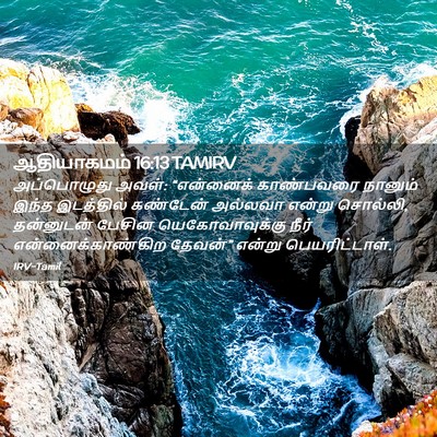 Picture 02 - ஆதியாகமம் 16:13 TAMIRV - அப்பொழுது அவள்: - Bible Verse Picture