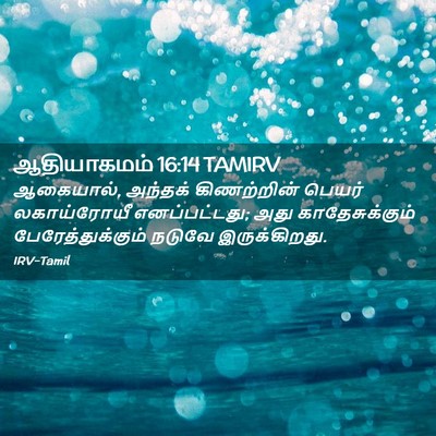 Picture 02 - ஆதியாகமம் 16:14 TAMIRV - ஆகையால், அந்தக் - Bible Verse Picture