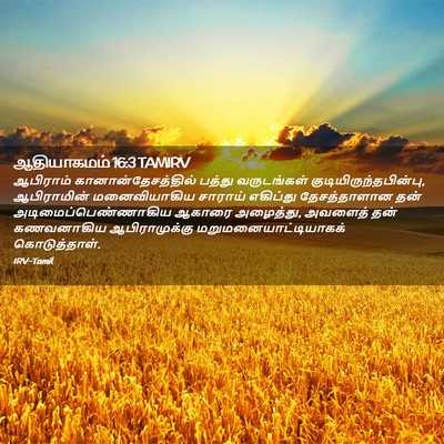 Picture 02 - ஆதியாகமம் 16:3 TAMIRV - ஆபிராம் - Bible Verse Picture