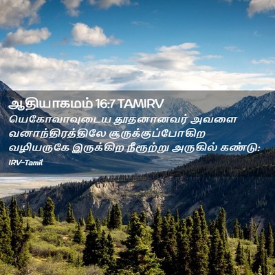 Picture 02 - ஆதியாகமம் 16:7 TAMIRV - யெகோவாவுடைய - Bible Verse Picture
