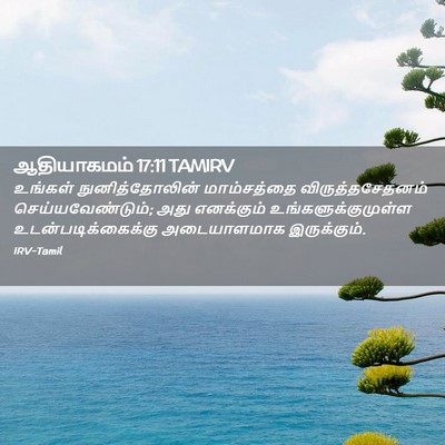 Picture 02 - ஆதியாகமம் 17:11 TAMIRV - உங்கள் - Bible Verse Picture