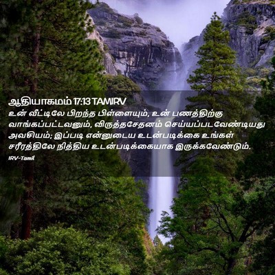 Picture 02 - ஆதியாகமம் 17:13 TAMIRV - உன் வீட்டிலே - Bible Verse Picture