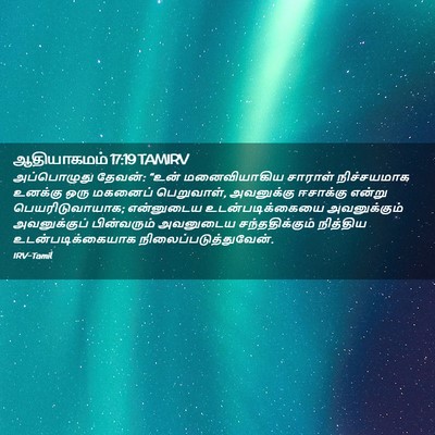 Picture 02 - ஆதியாகமம் 17:19 TAMIRV - அப்பொழுது தேவன்: - Bible Verse Picture