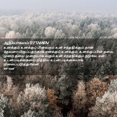 Picture 02 - ஆதியாகமம் 17:7 TAMIRV - உனக்கும் உனக்குப் - Bible Verse Picture