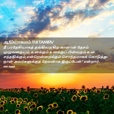Picture 02 - ஆதியாகமம் 17:8 TAMIRV - நீ பரதேசியாகத் - Bible Verse Picture