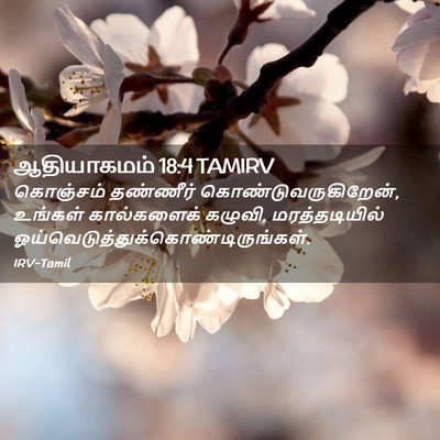 Picture 02 - ஆதியாகமம் 18:4 TAMIRV - கொஞ்சம் தண்ணீர் - Bible Verse Picture