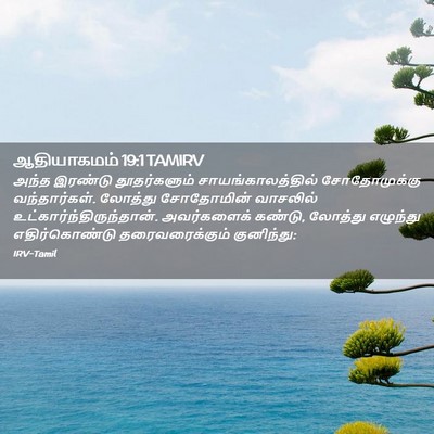 Picture 02 - ஆதியாகமம் 19:1 TAMIRV - அந்த இரண்டு - Bible Verse Picture