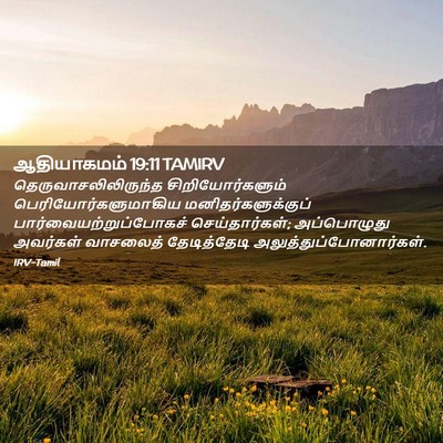 Picture 02 - ஆதியாகமம் 19:11 TAMIRV - தெருவாசலிலிருந்த - Bible Verse Picture
