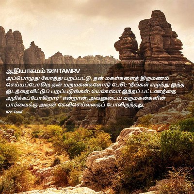 Picture 02 - ஆதியாகமம் 19:14 TAMIRV - அப்பொழுது லோத்து - Bible Verse Picture