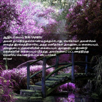 Picture 02 - ஆதியாகமம் 19:16 TAMIRV - அவன் - Bible Verse Picture