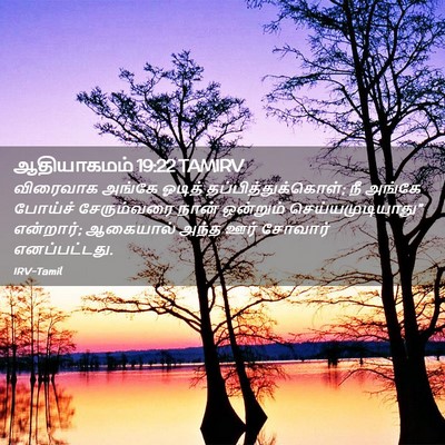 Picture 02 - ஆதியாகமம் 19:22 TAMIRV - விரைவாக அங்கே - Bible Verse Picture