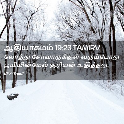 Picture 02 - ஆதியாகமம் 19:23 TAMIRV - லோத்து - Bible Verse Picture