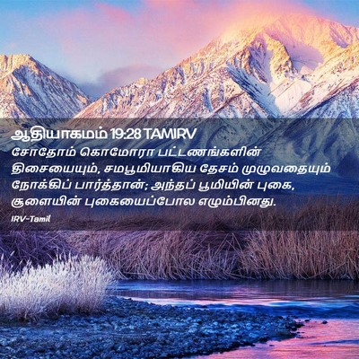 Picture 02 - ஆதியாகமம் 19:28 TAMIRV - சோதோம் கொமோரா - Bible Verse Picture
