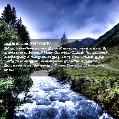 Picture 02 - ஆதியாகமம் 19:8 TAMIRV - இதோ, கன்னிகைகளான - Bible Verse Picture