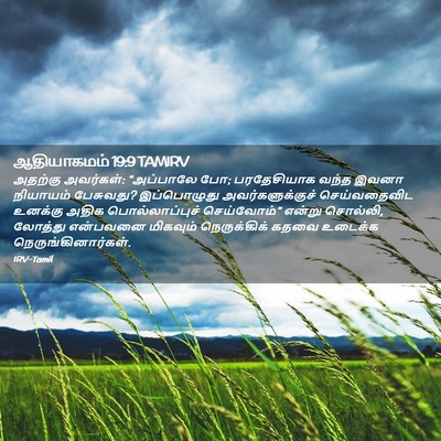 Picture 02 - ஆதியாகமம் 19:9 TAMIRV - அதற்கு அவர்கள்: - Bible Verse Picture