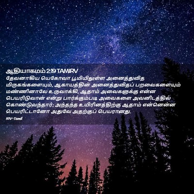 Picture 02 - ஆதியாகமம் 2:19 TAMIRV - தேவனாகிய யெகோவா - Bible Verse Picture
