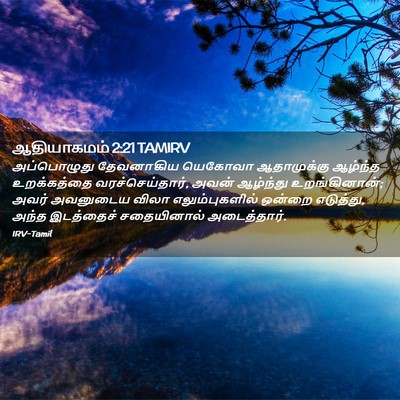 Picture 02 - ஆதியாகமம் 2:21 TAMIRV - அப்பொழுது - Bible Verse Picture