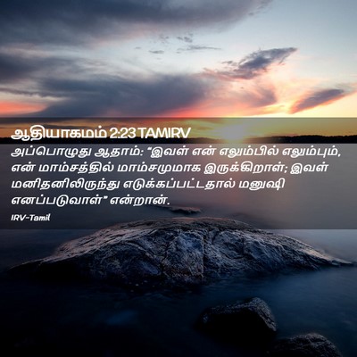 Picture 02 - ஆதியாகமம் 2:23 TAMIRV - அப்பொழுது ஆதாம்: - Bible Verse Picture