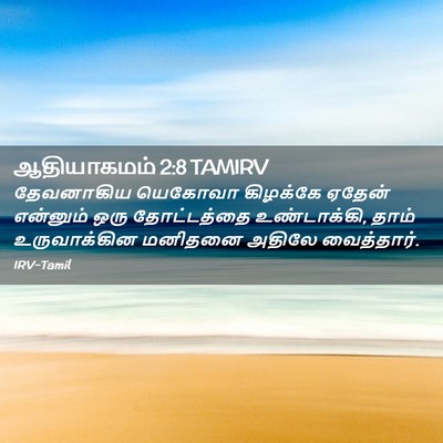 Picture 02 - ஆதியாகமம் 2:8 TAMIRV - தேவனாகிய யெகோவா - Bible Verse Picture
