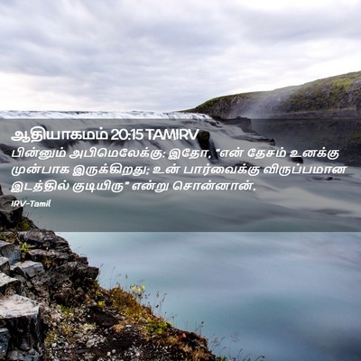 Picture 02 - ஆதியாகமம் 20:15 TAMIRV - பின்னும் - Bible Verse Picture
