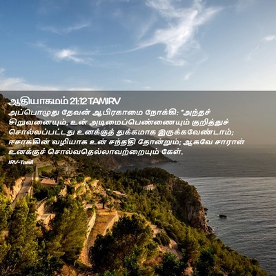 Picture 02 - ஆதியாகமம் 21:12 TAMIRV - அப்பொழுது தேவன் - Bible Verse Picture