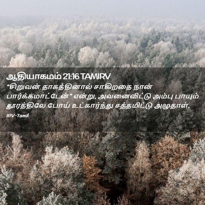Picture 02 - ஆதியாகமம் 21:16 TAMIRV - “சிறுவன் - Bible Verse Picture