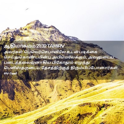 Picture 02 - ஆதியாகமம் 21:32 TAMIRV - அவர்கள் - Bible Verse Picture