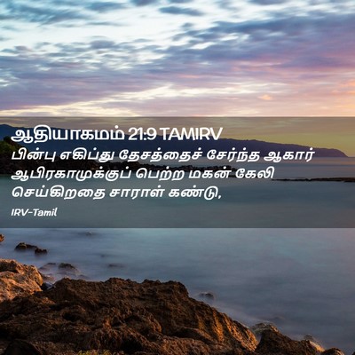 Picture 02 - ஆதியாகமம் 21:9 TAMIRV - பின்பு எகிப்து - Bible Verse Picture