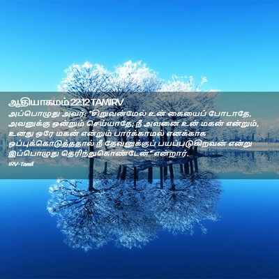 Picture 02 - ஆதியாகமம் 22:12 TAMIRV - அப்பொழுது அவர்: - Bible Verse Picture