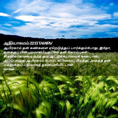 Picture 02 - ஆதியாகமம் 22:13 TAMIRV - ஆபிரகாம் தன் - Bible Verse Picture