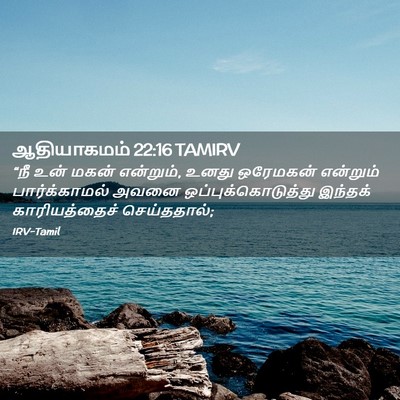 Picture 02 - ஆதியாகமம் 22:16 TAMIRV - “நீ உன் மகன் - Bible Verse Picture