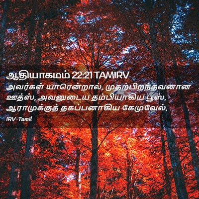 Picture 02 - ஆதியாகமம் 22:21 TAMIRV - அவர்கள் - Bible Verse Picture