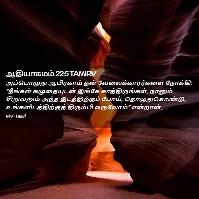 Picture 02 - ஆதியாகமம் 22:5 TAMIRV - அப்பொழுது - Bible Verse Picture