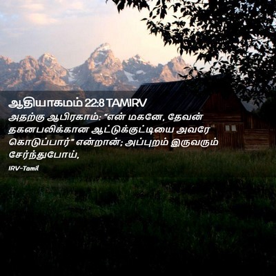 Picture 02 - ஆதியாகமம் 22:8 TAMIRV - அதற்கு ஆபிரகாம்: - Bible Verse Picture