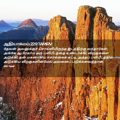 Picture 02 - ஆதியாகமம் 22:9 TAMIRV - தேவன் அவனுக்குச் - Bible Verse Picture
