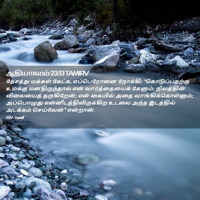 Picture 02 - ஆதியாகமம் 23:13 TAMIRV - தேசத்து மக்கள் - Bible Verse Picture