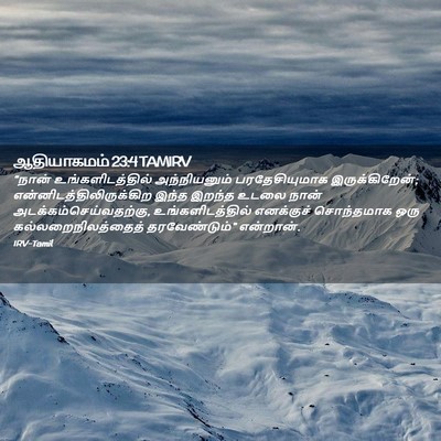 Picture 02 - ஆதியாகமம் 23:4 TAMIRV - “நான் - Bible Verse Picture