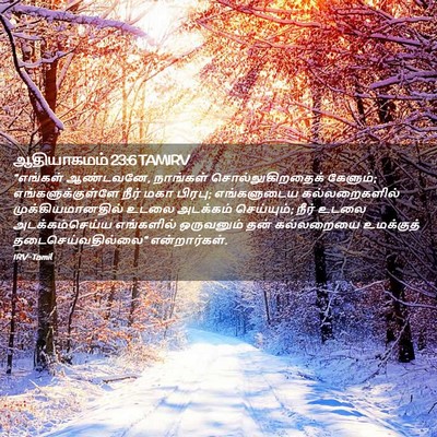 Picture 02 - ஆதியாகமம் 23:6 TAMIRV - “எங்கள் ஆண்டவனே, - Bible Verse Picture