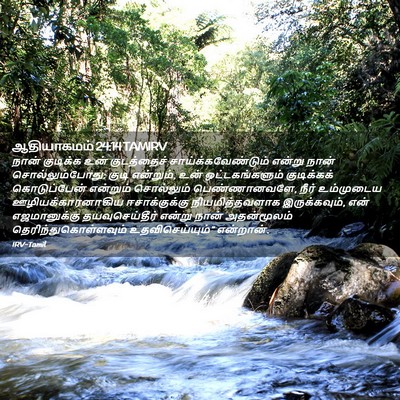 Picture 02 - ஆதியாகமம் 24:14 TAMIRV - நான் குடிக்க உன் - Bible Verse Picture