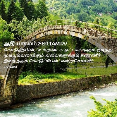 Picture 02 - ஆதியாகமம் 24:19 TAMIRV - கொடுத்தபின், - Bible Verse Picture