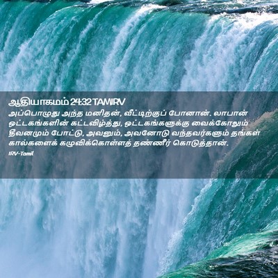 Picture 02 - ஆதியாகமம் 24:32 TAMIRV - அப்பொழுது அந்த - Bible Verse Picture