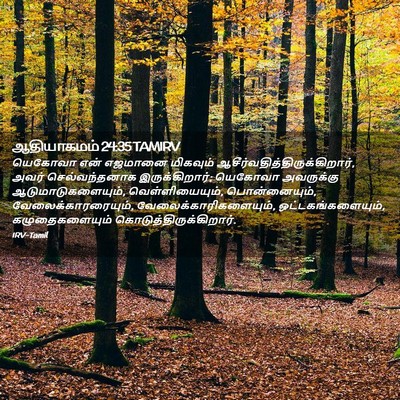 Picture 02 - ஆதியாகமம் 24:35 TAMIRV - யெகோவா என் எஜமானை - Bible Verse Picture
