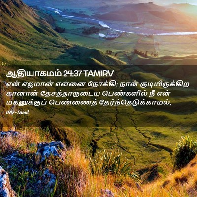 Picture 02 - ஆதியாகமம் 24:37 TAMIRV - என் எஜமான் என்னை - Bible Verse Picture