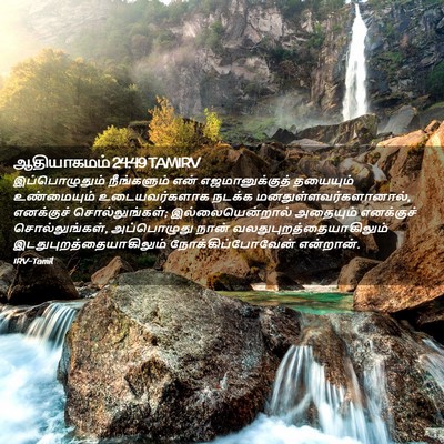 Picture 02 - ஆதியாகமம் 24:49 TAMIRV - இப்பொழுதும் - Bible Verse Picture