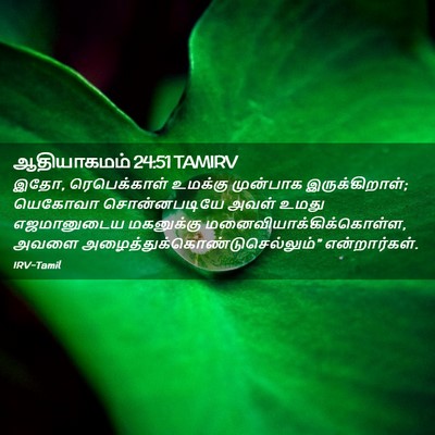 Picture 02 - ஆதியாகமம் 24:51 TAMIRV - இதோ, ரெபெக்காள் - Bible Verse Picture