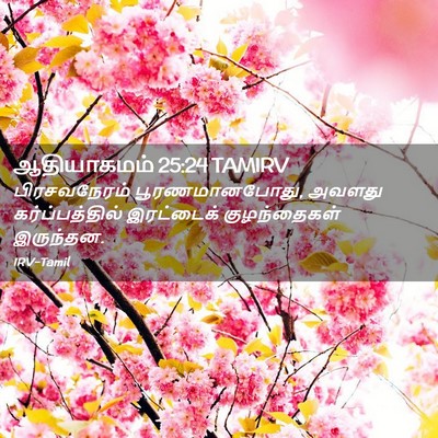Picture 02 - ஆதியாகமம் 25:24 TAMIRV - பிரசவநேரம் - Bible Verse Picture